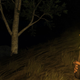 Image for article titled Rust Is Getting Scrapped For A New Rust
